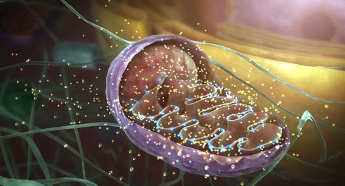 1642734290146379.png 20.png