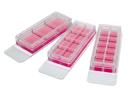 3孔/8孔/12孔可移除插件培養(yǎng)載玻片-80381 80841 81201 10811 10815