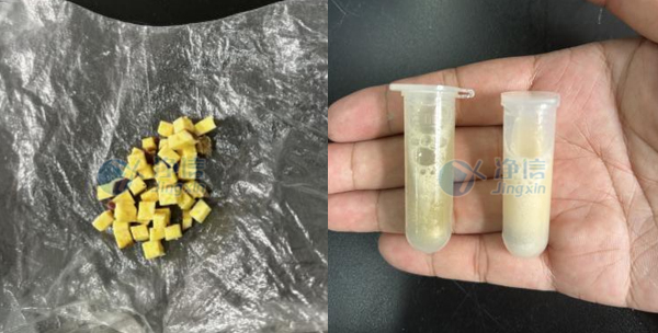 4-16- 實(shí)驗(yàn)案例底圖.jpg