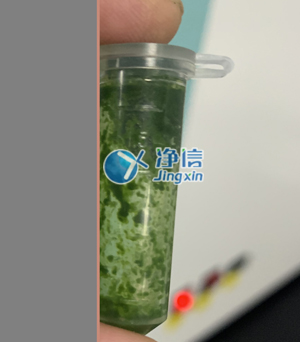 冷凍研磨儀在對甘蔗葉片提取DNA實驗中研磨樣本效果如何？