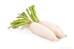 蘿卜提取DNA采用全自動(dòng)樣品快速研磨儀能得到什么結(jié)果？